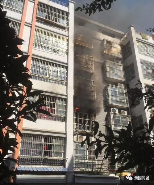 萧县爆料最新消息今天 第1张 萧县爆料最新消息今天 第1张